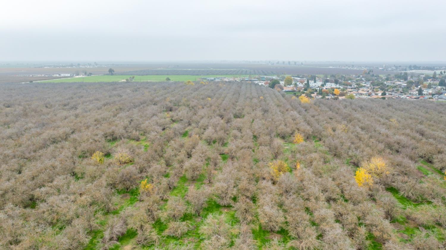 0 Ave 48 Earlimart, CA 93219 - Photo 18 of 21 a view of a dry yard with wooden fence