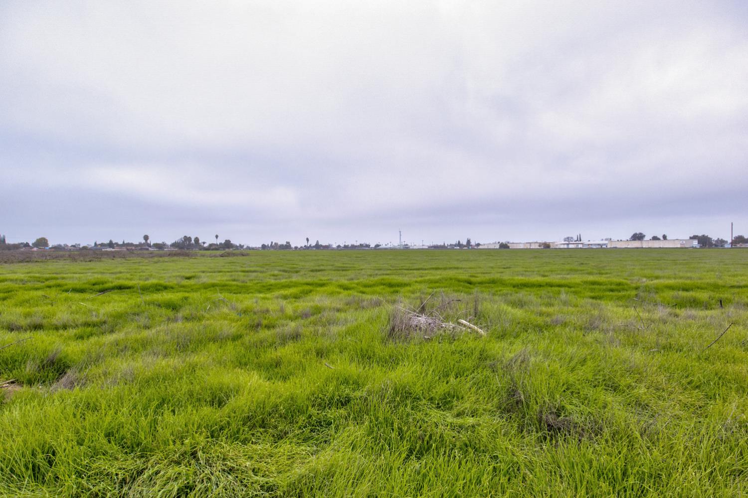 0 Ave 48 Earlimart, CA 93219 - Photo 3 of 21 a view of yard with ocean