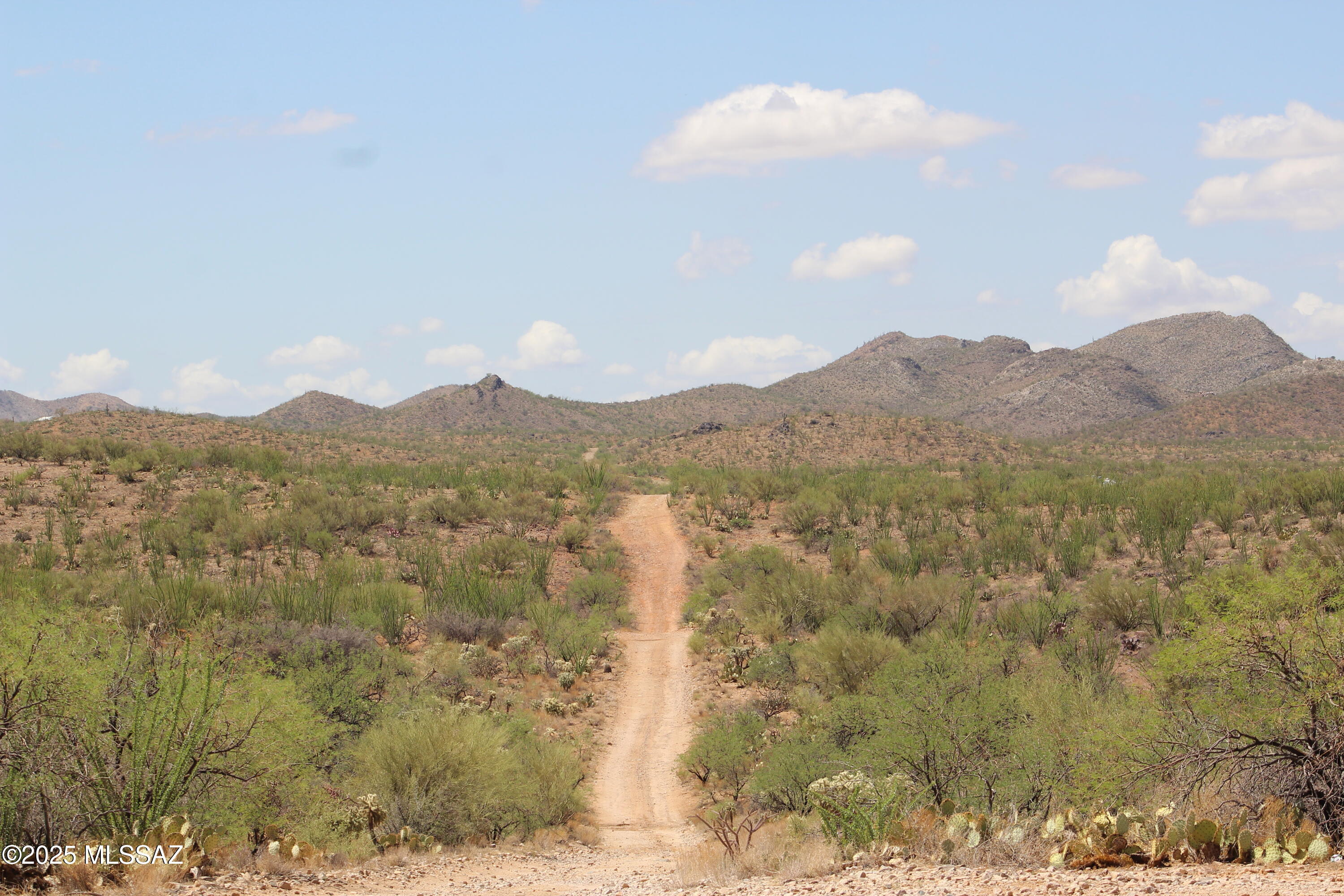 Tbd South Garvey Road Tucson, AZ 85736 - Photo 13 of 13
