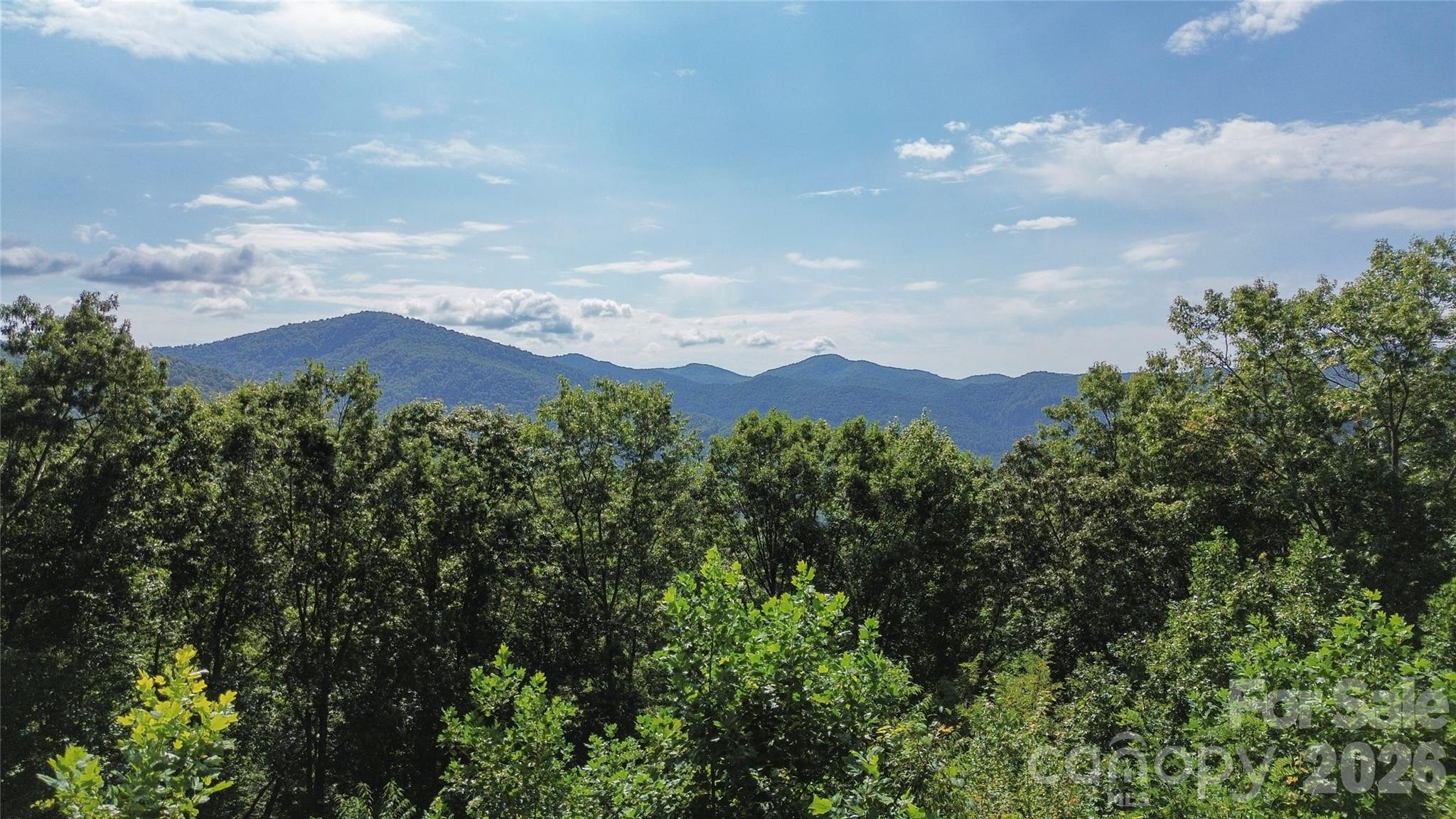 454 Hummingbird Lane Franklin, NC 28734 - Photo 37 of 48