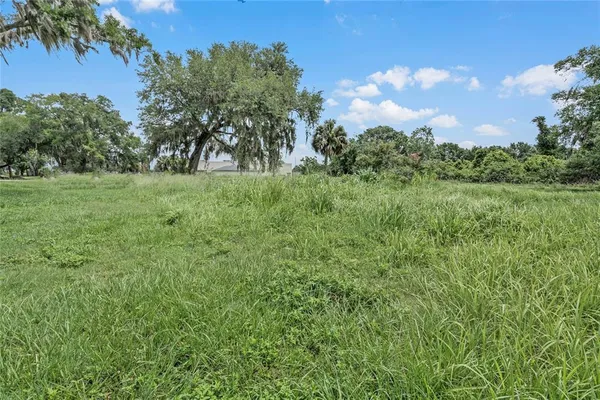 a view of a grassy field with trees