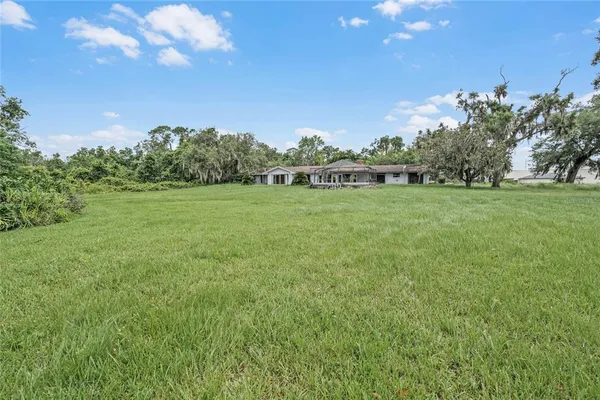 a view of a field with trees