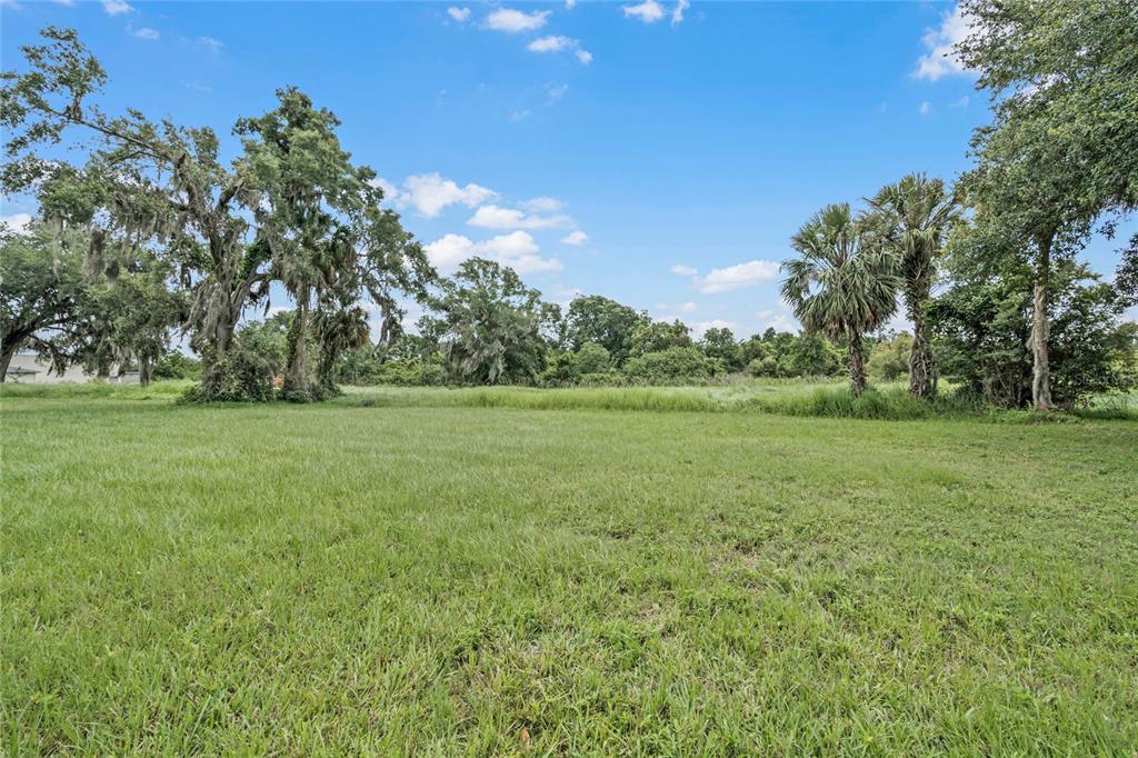 2000 Dundee Road Winter Haven, FL 33884 - Photo 23 of 35 a view of a field with trees