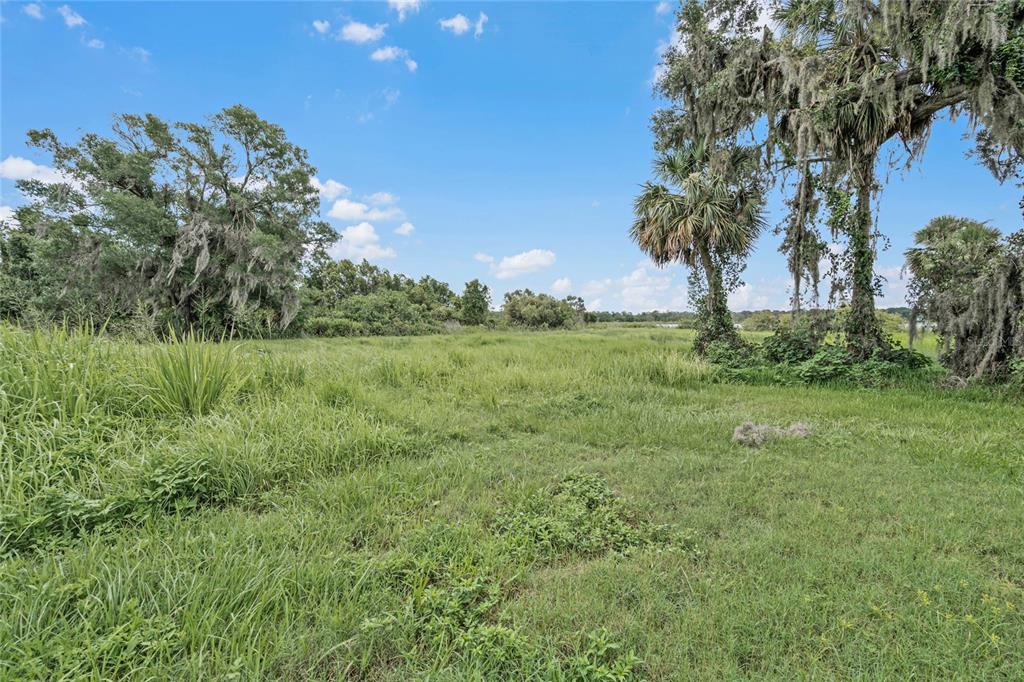 2000 Dundee Road Winter Haven, FL 33884 - Photo 26 of 35 a view of a garden