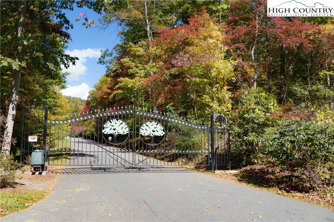 Lot 58 Fire Pink Boone, NC 28607 - Photo 1 of 10 Gallery Image 1