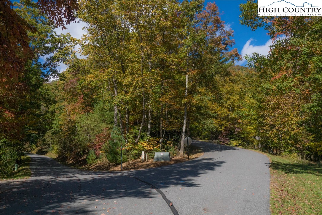 Lot 58 Fire Pink Boone, NC 28607 - Photo 3 of 10 Gallery Image 3