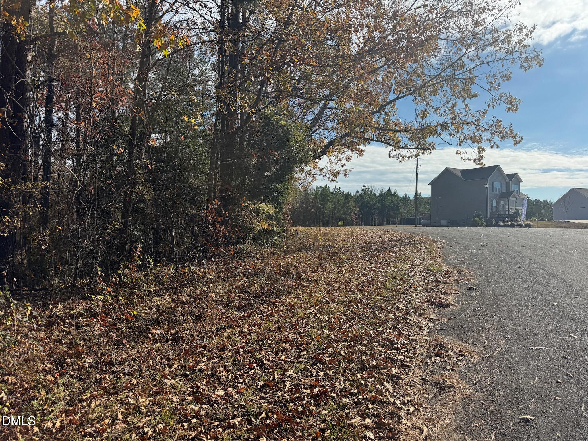 0 Williams Road Spring Hope, NC 27882 - Photo 15 of 40 a view of a yard