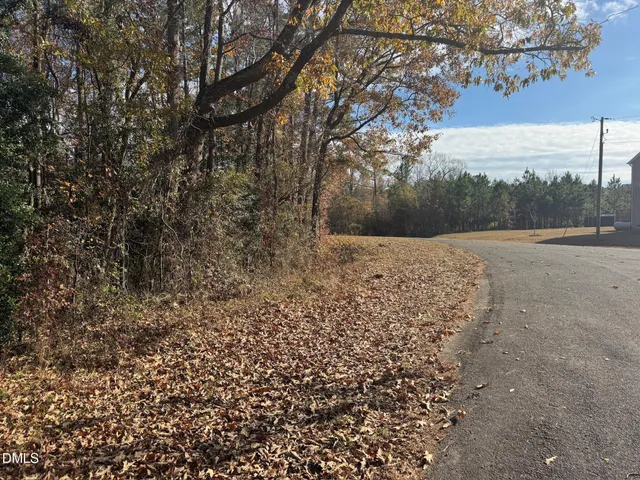 a view of back yard of the road and trees