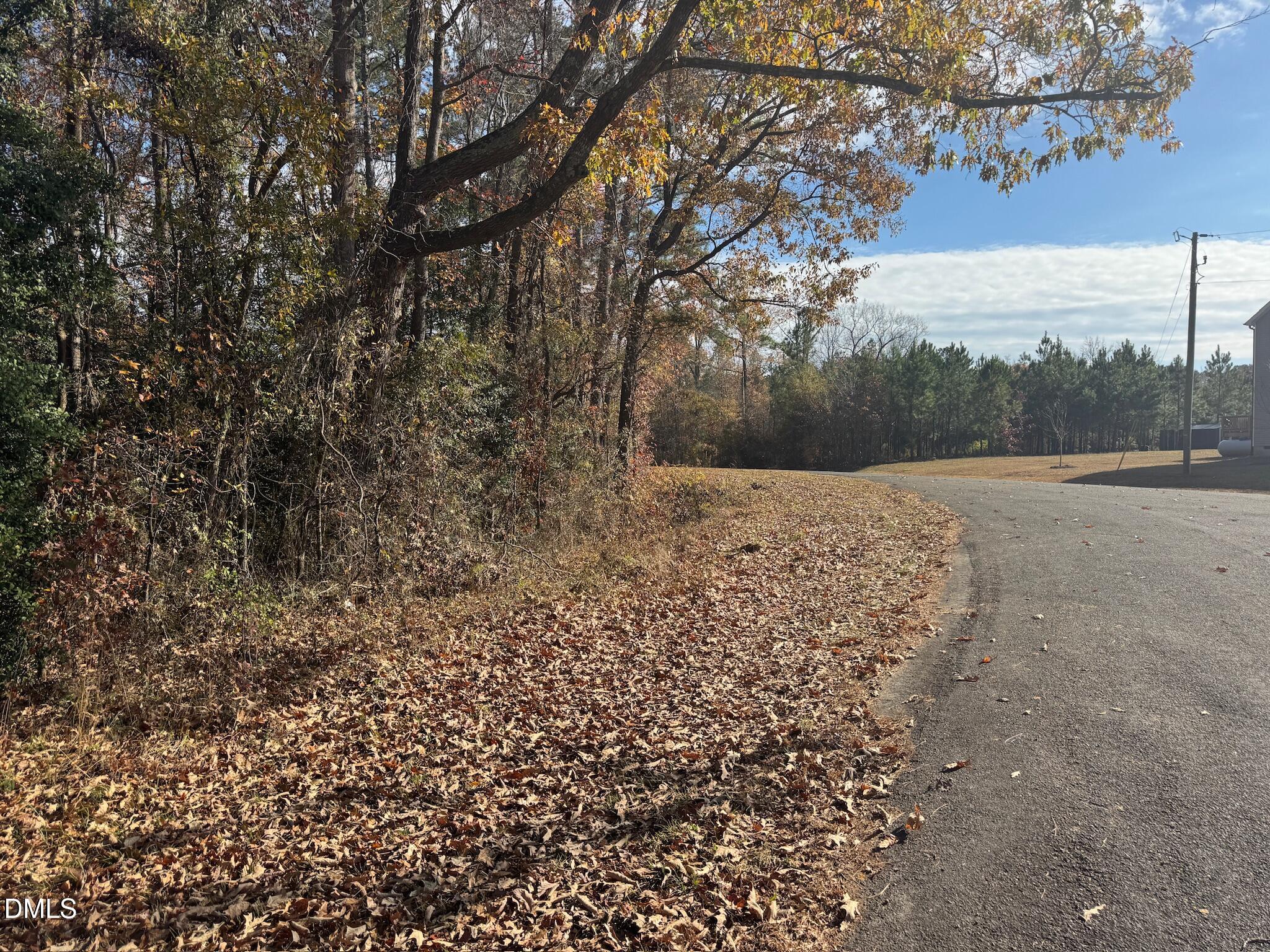 0 Williams Road Spring Hope, NC 27882 - Photo 16 of 40