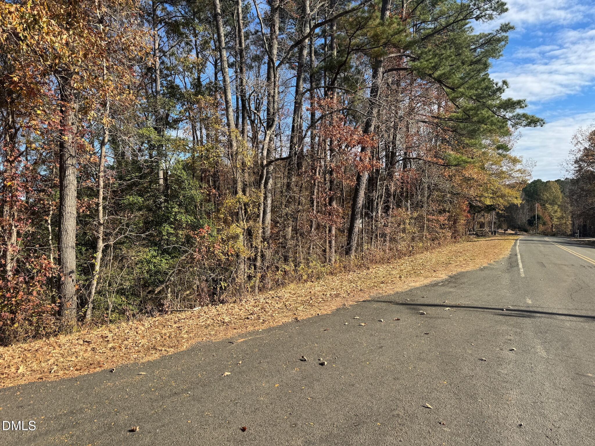 0 Williams Road Spring Hope, NC 27882 - Photo 18 of 40 a view of back yard of the road and trees