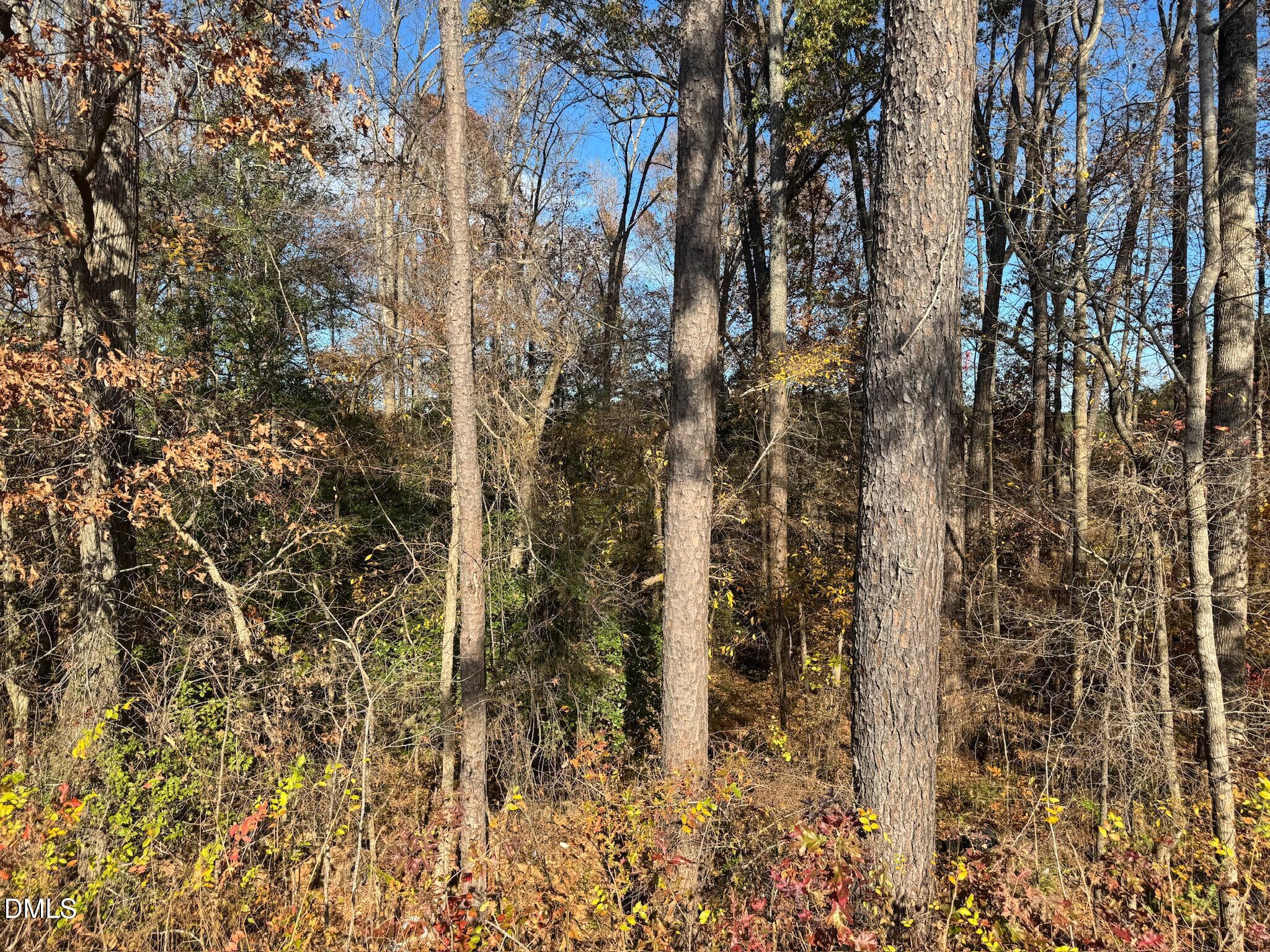 0 Williams Road Spring Hope, NC 27882 - Photo 20 of 40