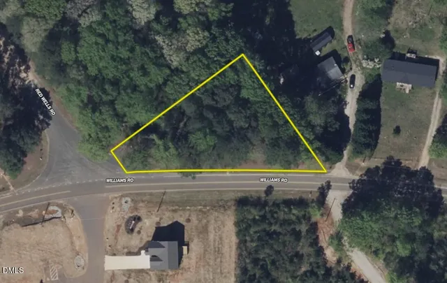 a view of a yard with plants