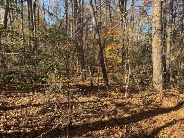 a view of a yard with a tree