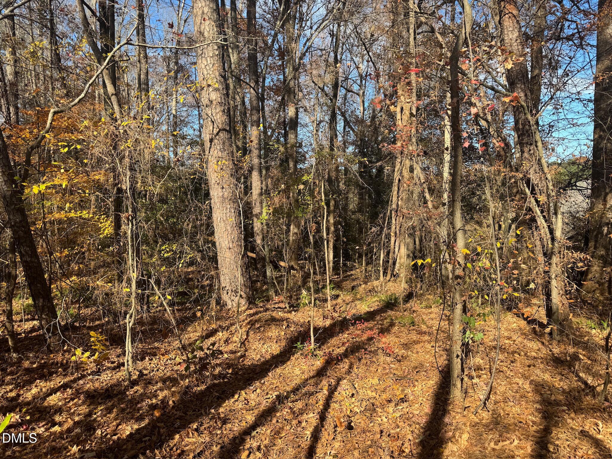 0 Williams Road Spring Hope, NC 27882 - Photo 24 of 40 a view of a yard with wooden fence