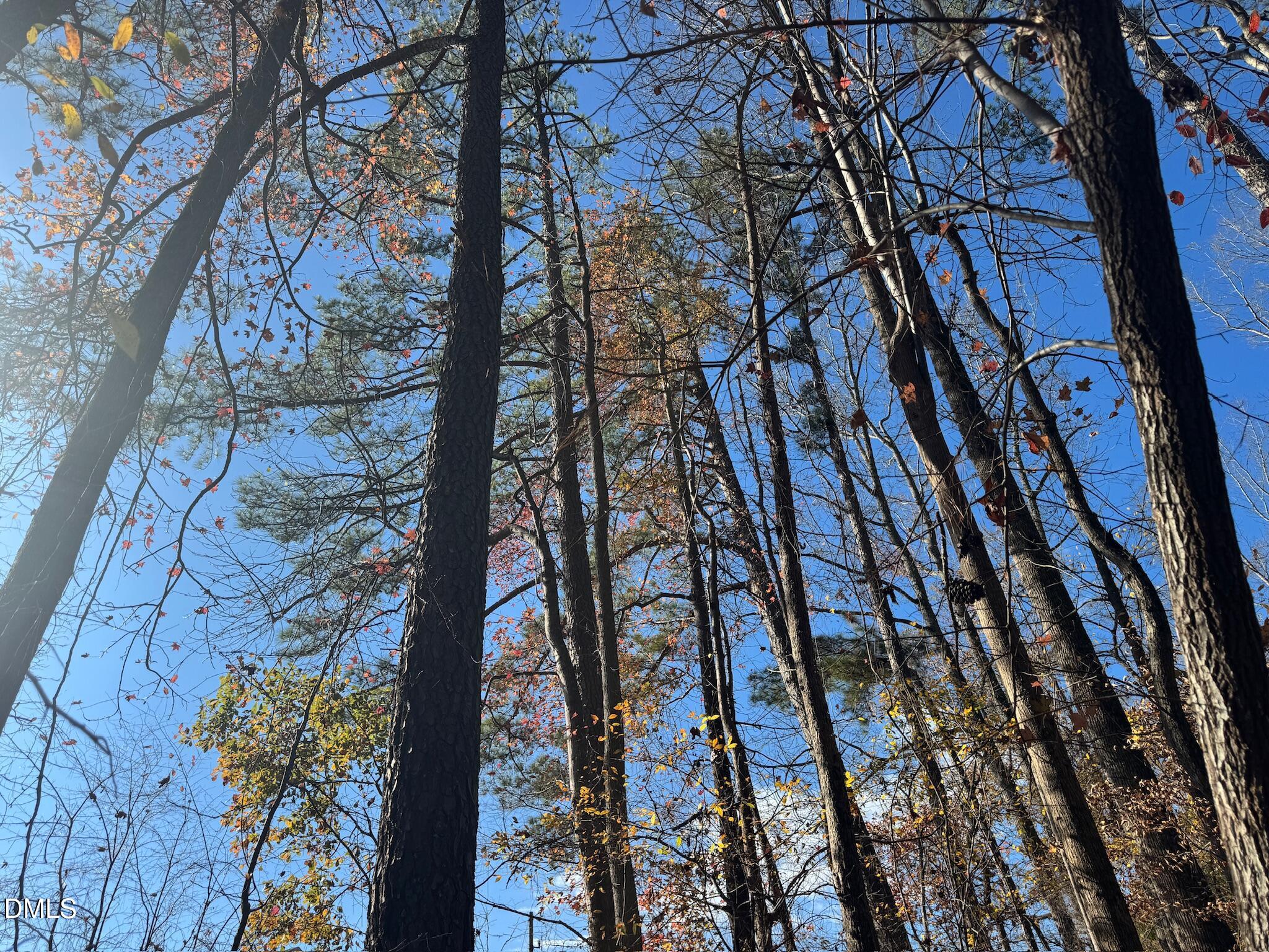 0 Williams Road Spring Hope, NC 27882 - Photo 25 of 40 a view of a yard