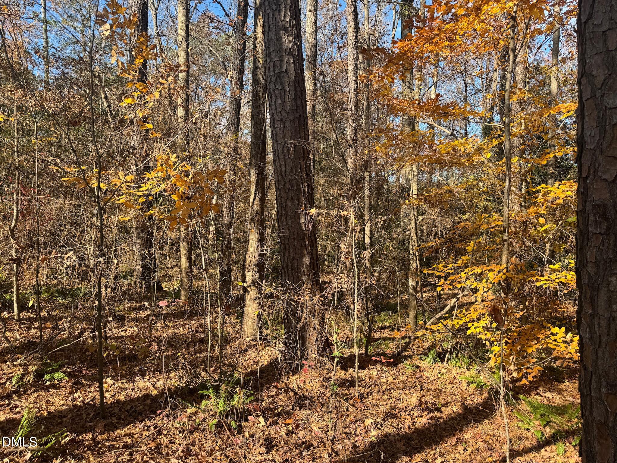 0 Williams Road Spring Hope, NC 27882 - Photo 27 of 40 a view of a yard