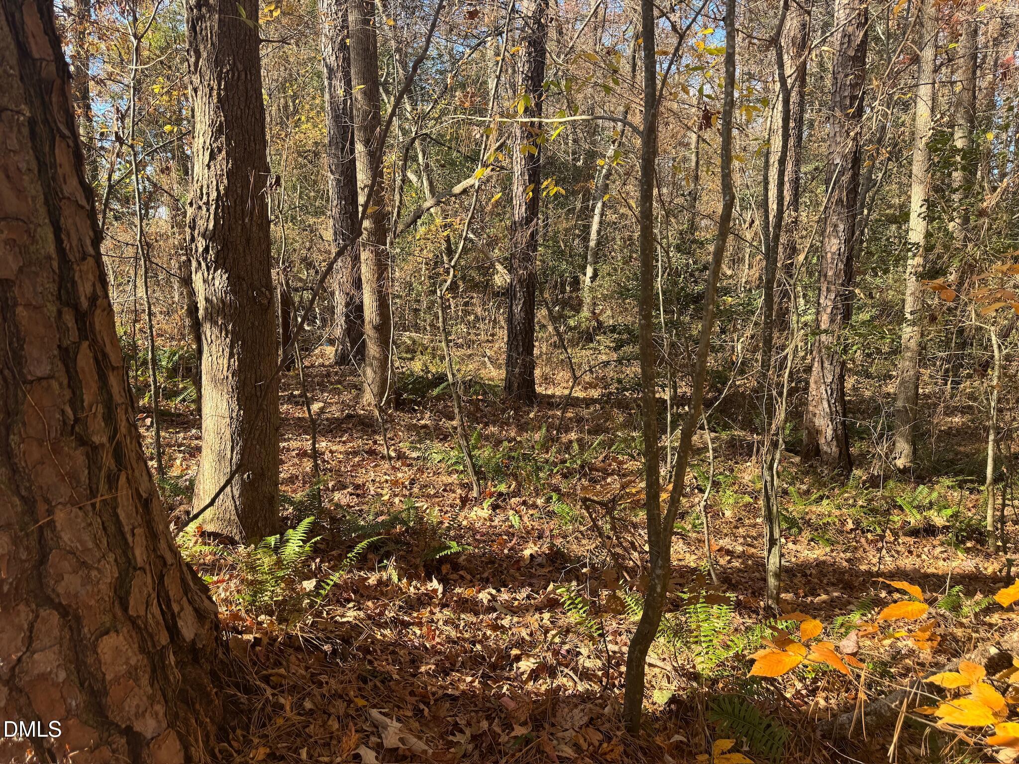 0 Williams Road Spring Hope, NC 27882 - Photo 28 of 40 a view of covered with green space
