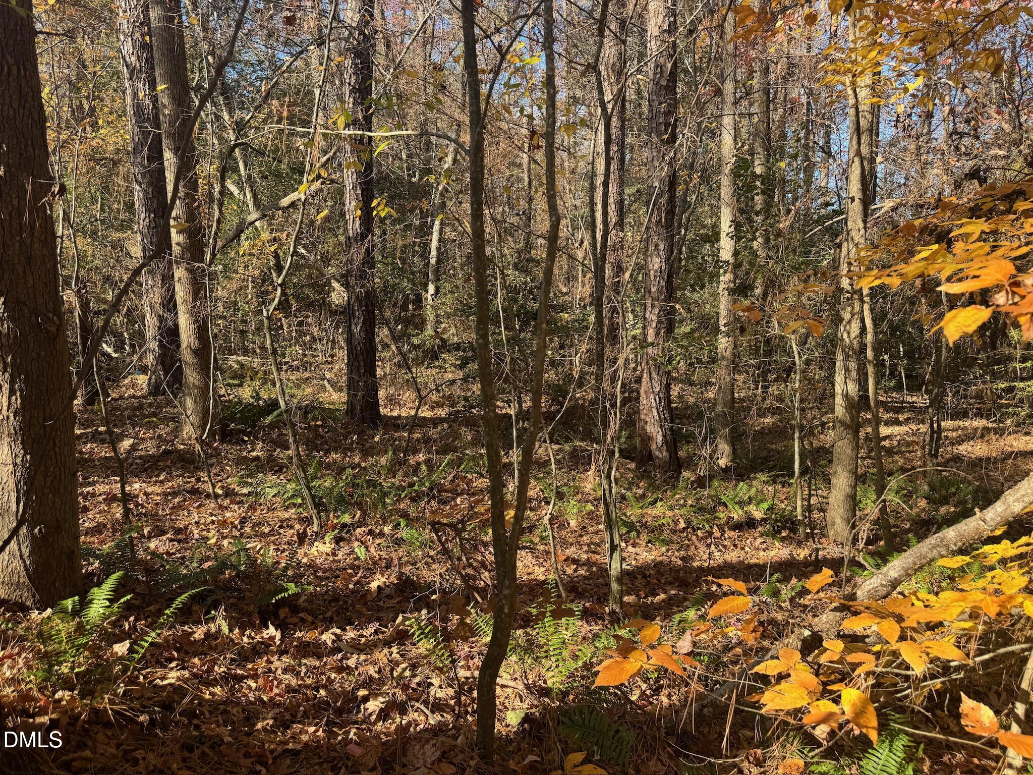 0 Williams Road Spring Hope, NC 27882 - Photo 29 of 40