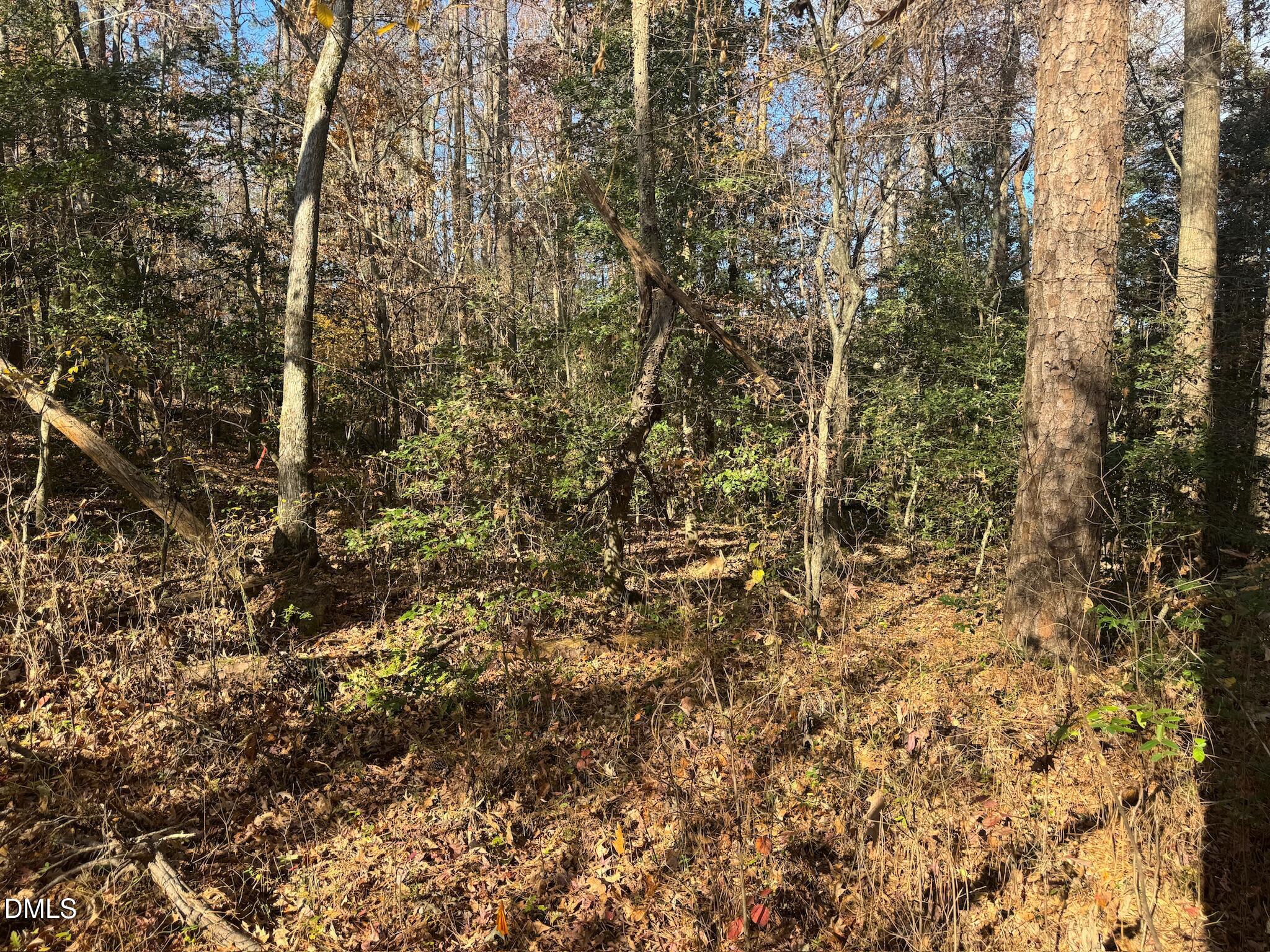 0 Williams Road Spring Hope, NC 27882 - Photo 30 of 40 a view of a yard