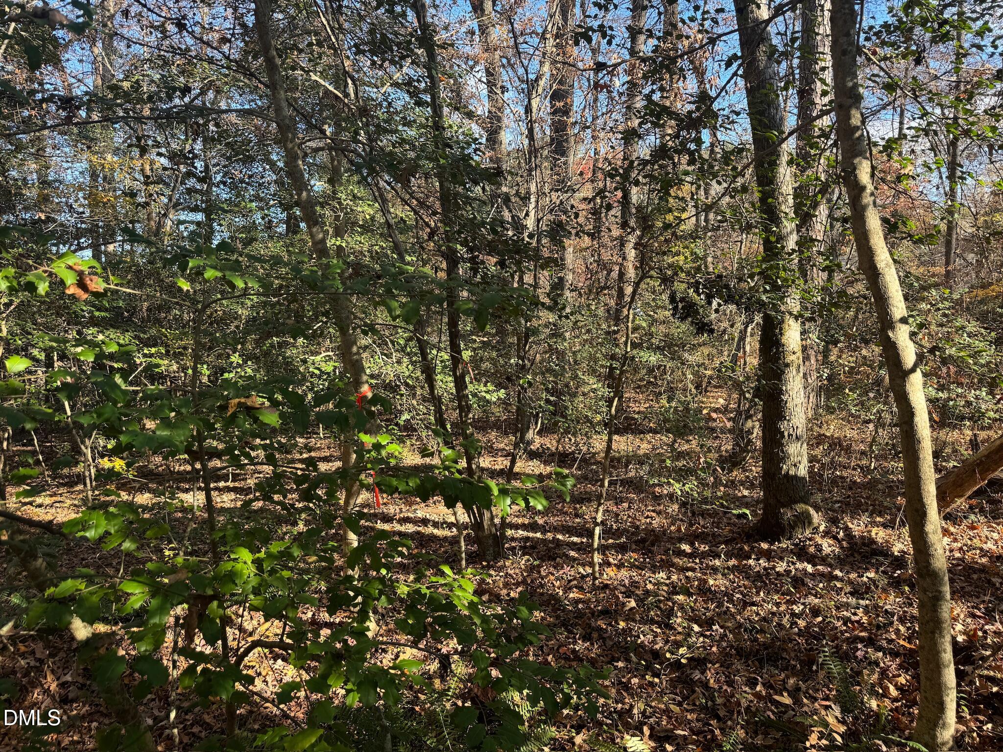 0 Williams Road Spring Hope, NC 27882 - Photo 34 of 40 a view of a tree