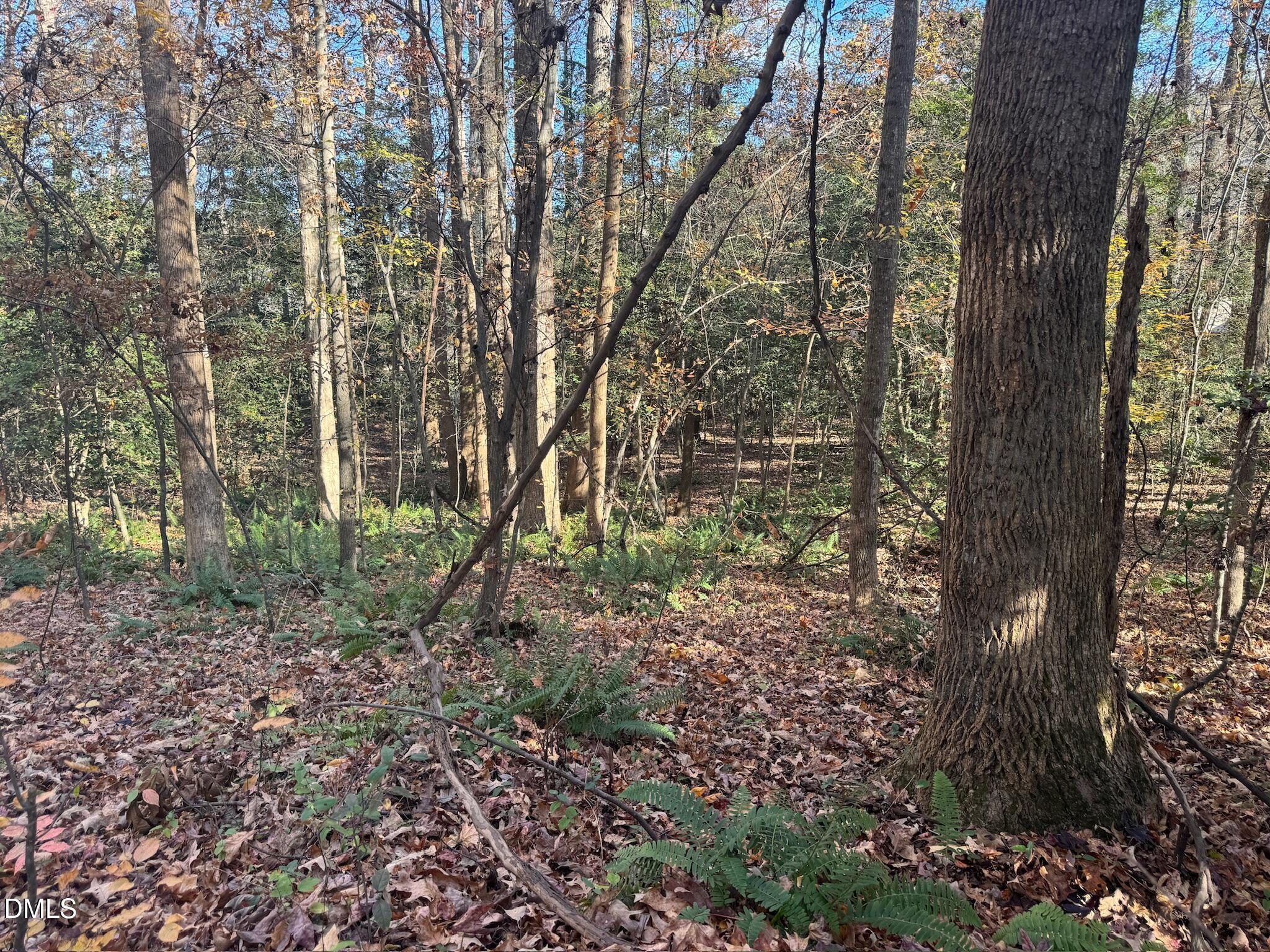 0 Williams Road Spring Hope, NC 27882 - Photo 37 of 40 a backyard of a house with lots of green space