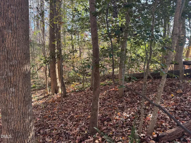 $45,000 | 0 Williams Road, Spring Hope, NC 27882