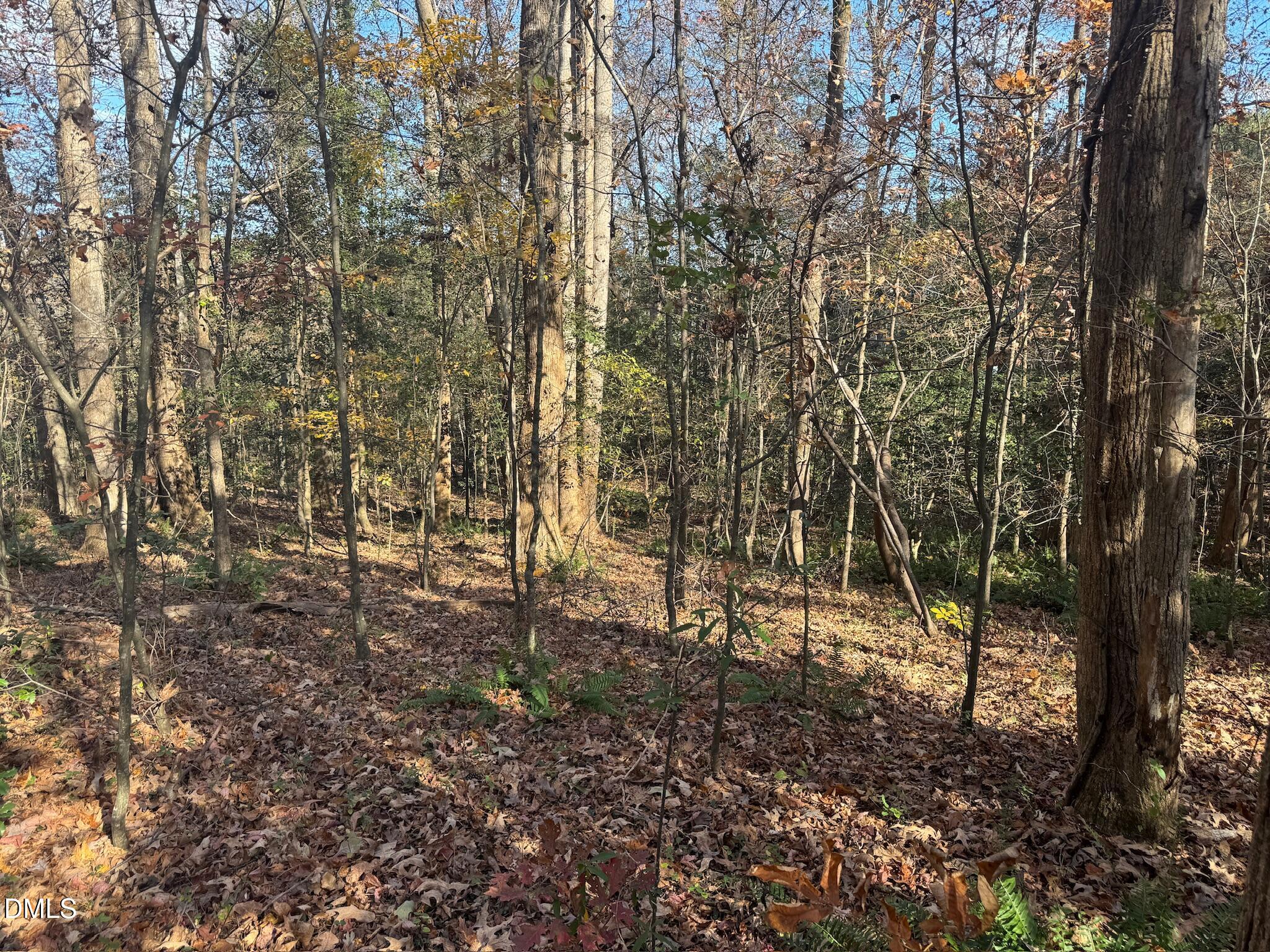 0 Williams Road Spring Hope, NC 27882 - Photo 40 of 40 a view of a forest