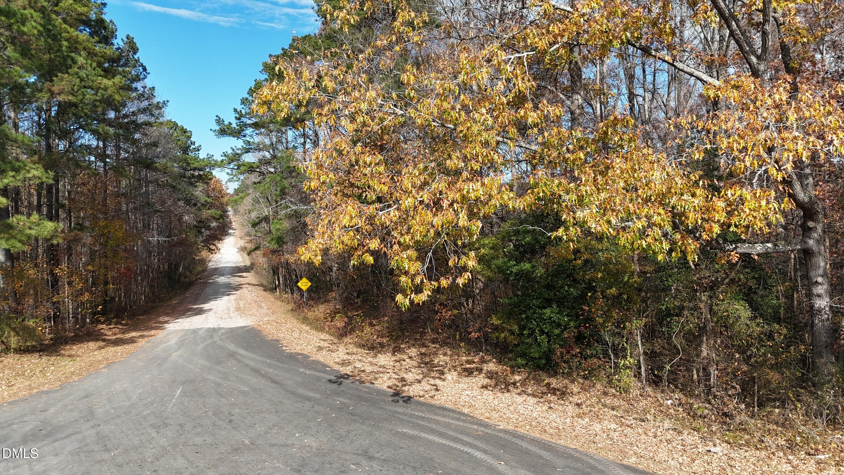 0 Williams Road Spring Hope, NC 27882 - Photo 10 of 40 a view of a forest with trees
