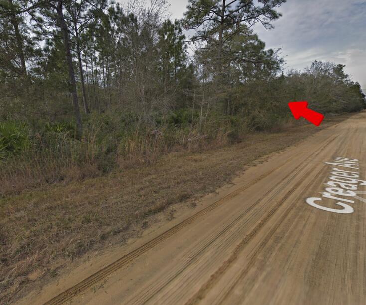 a view of outdoor space and yard