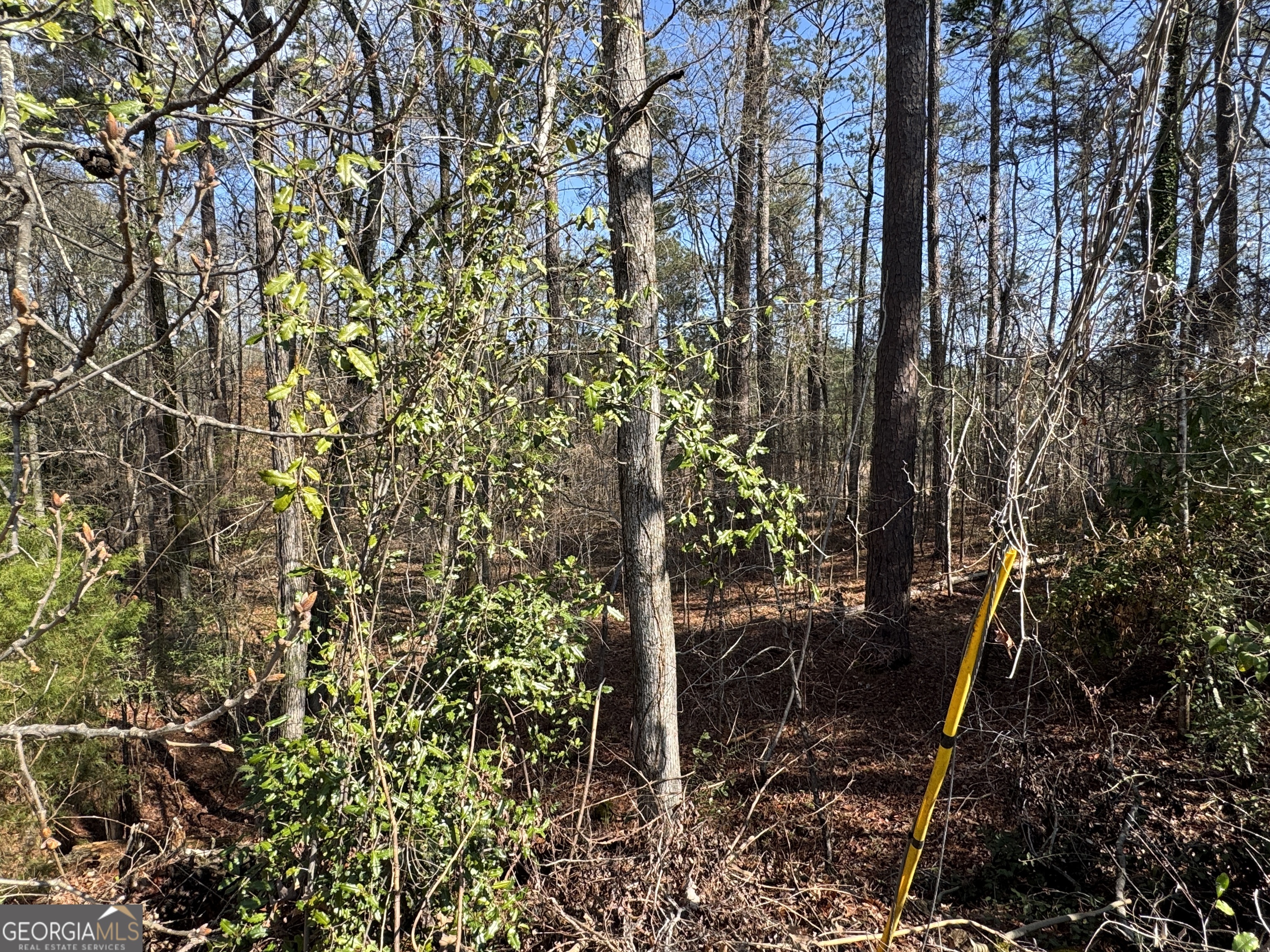 1954 Wood Valley Road Macon, GA 31211 - Photo 3 of 3