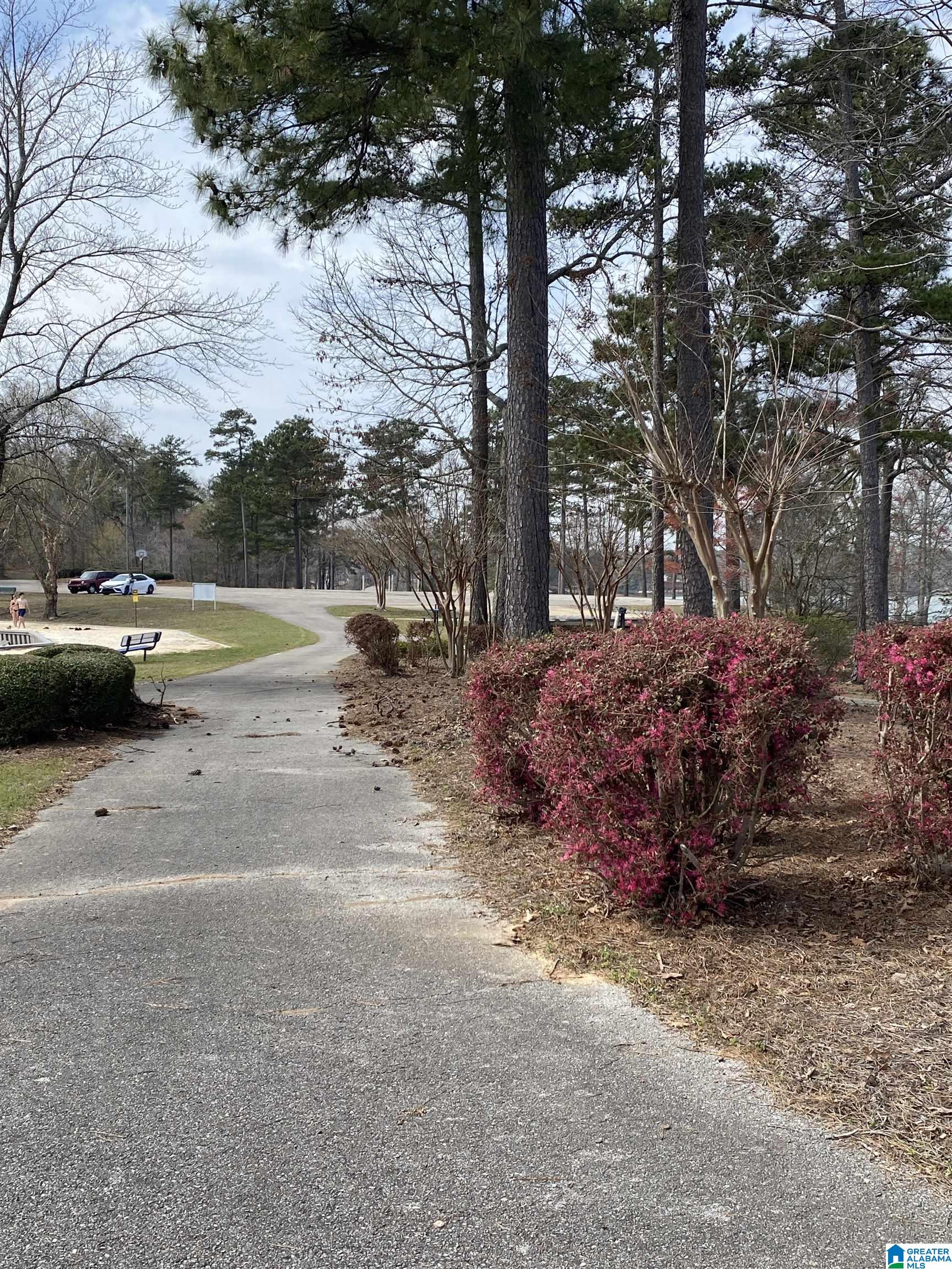 Lot 37 Stoney Point Road South, Unit 37 Double Springs, AL 35553 - Photo 21 of 33