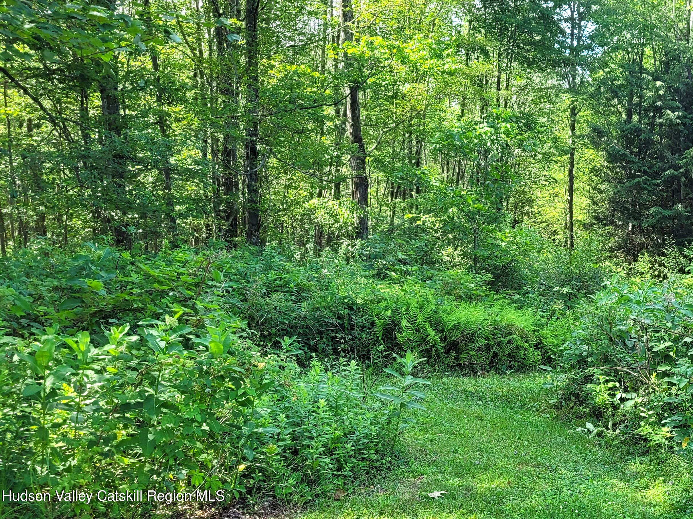 119 Brown House Road Gilboa, NY 12076 - Photo 29 of 39 20260702_163021
