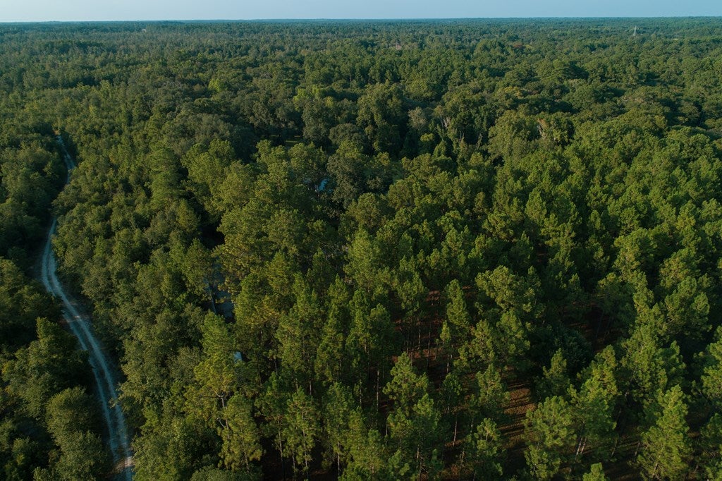 4259 Skipper Bridge Road Hahira, GA 31632 - Photo 71 of 74 Gallery Image 71