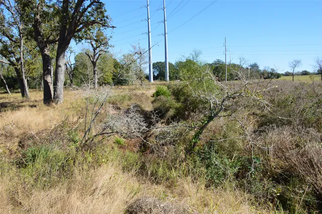 a view of a dry yard with trees