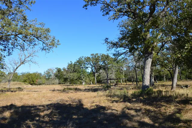a view of outdoor space with green field and trees all around