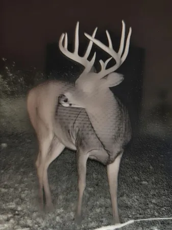 $799,000 | 11173 I-Drive South, Burlington, MI 49029