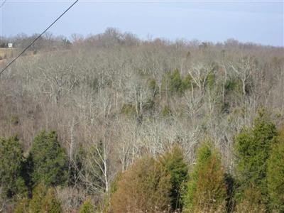 5 Timber Creek Road Lawrenceburg, KY 40342 - Photo 3 of 22 Photo 3