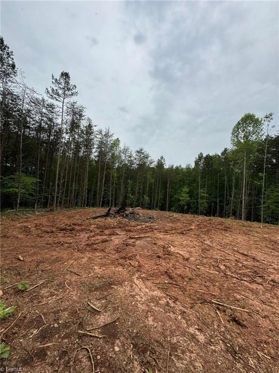 0 Corner Road Pinnacle, NC 27043 - Photo 4 of 8