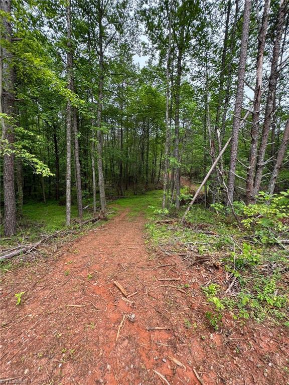 0 Corner Road Pinnacle, NC 27043 - Photo 8 of 8