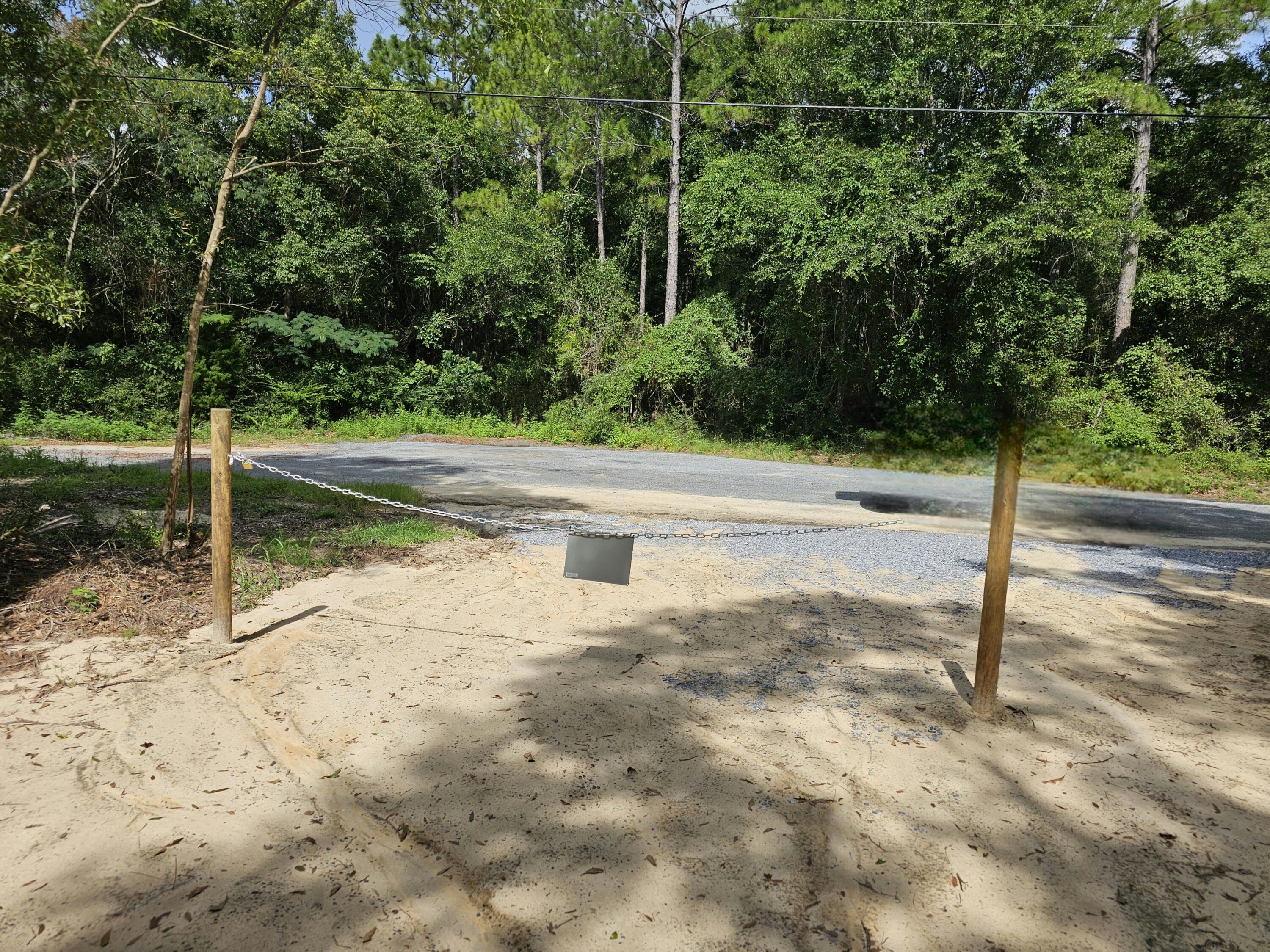 3.65-acres Adams Road Crestview, FL 32536 - Photo 2 of 12 a view of a yard with plants