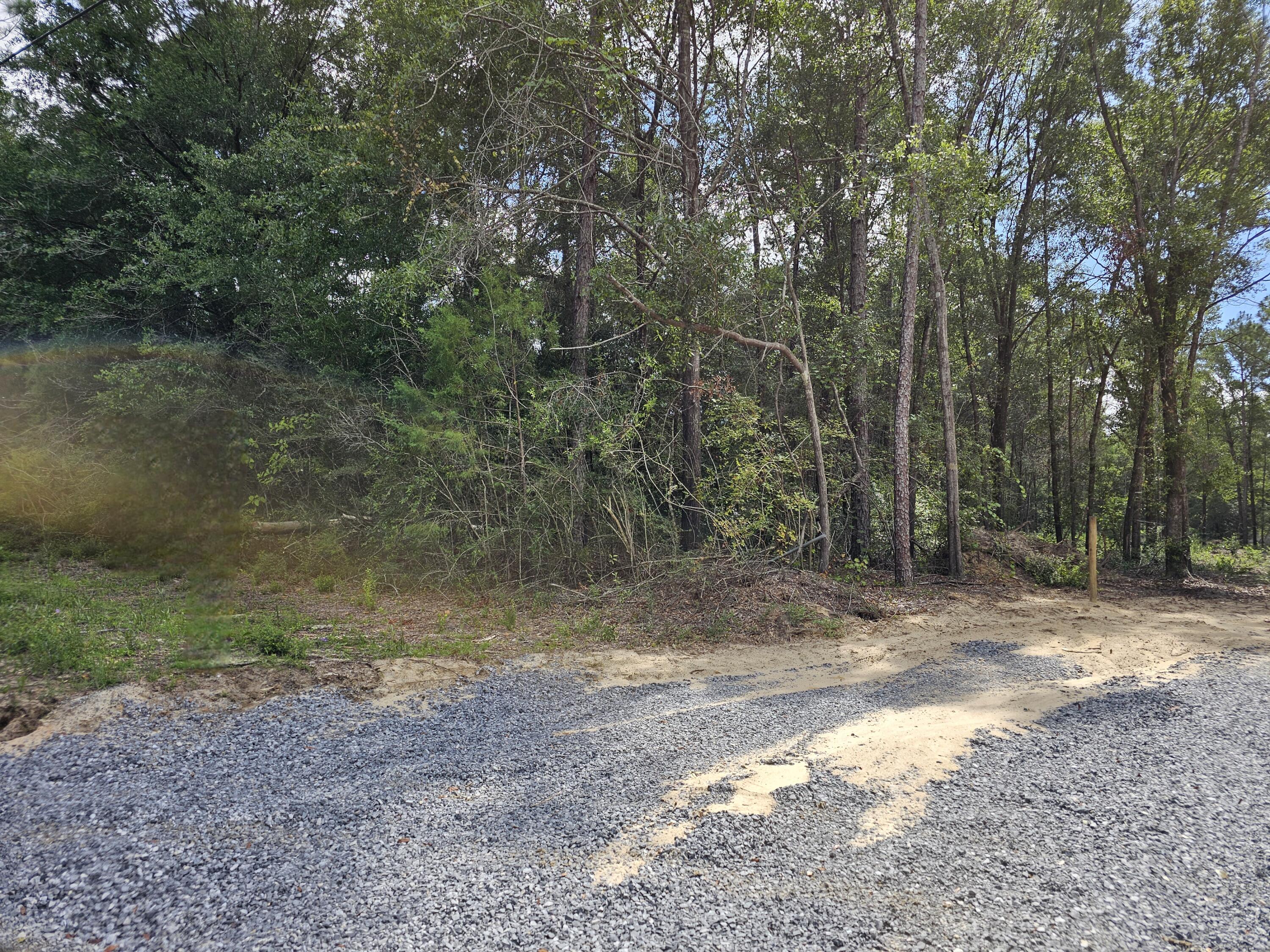 3.65-acres Adams Road Crestview, FL 32536 - Photo 3 of 12 a view of a yard with a tree