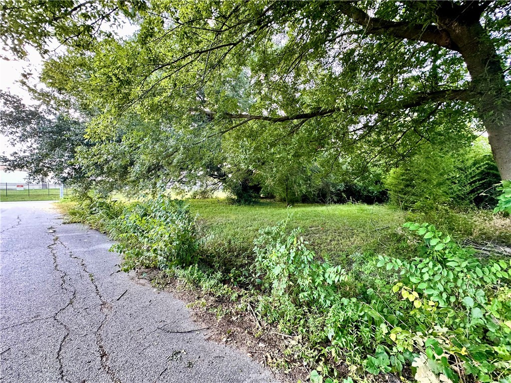 a view of yard with green space