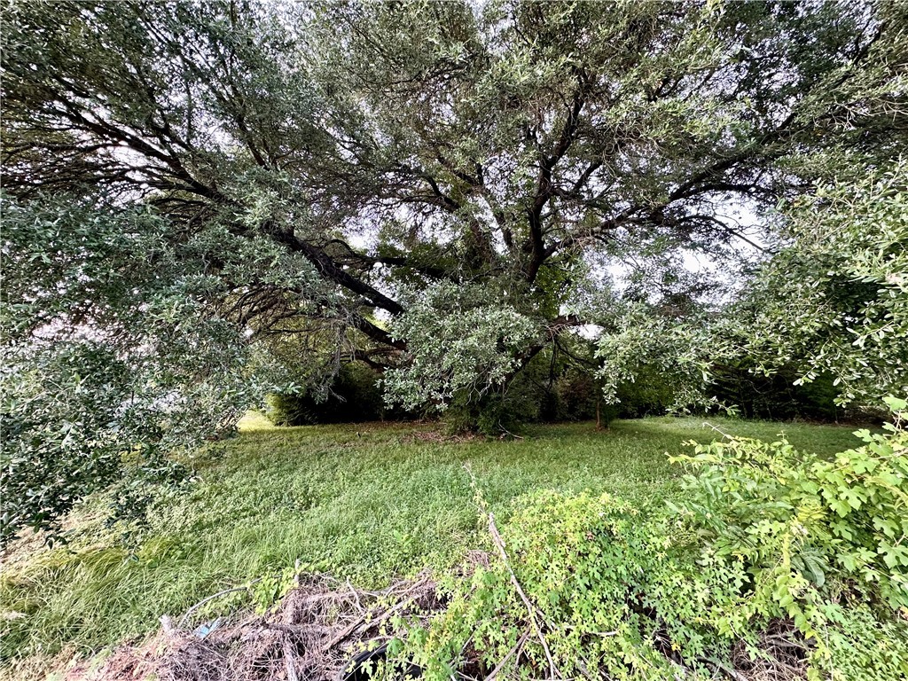 1001 North Washington Avenue Bryan, TX 77803 - Photo 2 of 7 a view of a green field with lots of bushes