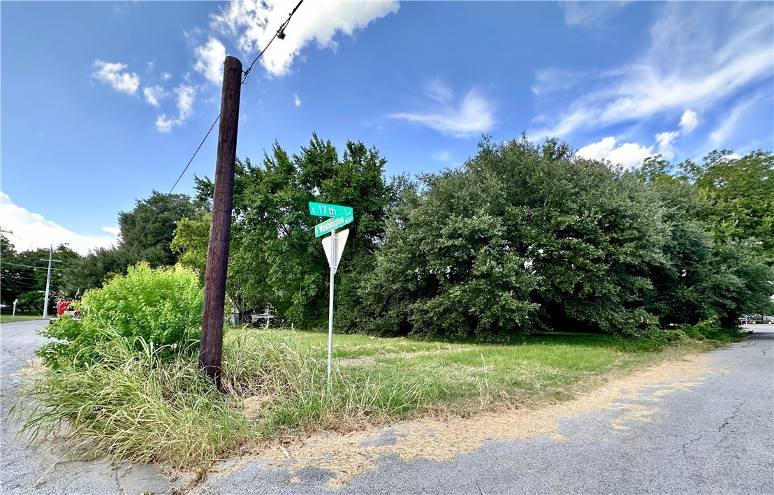 1001 North Washington Avenue Bryan, TX 77803 - Photo 3 of 7 a house view with a garden space