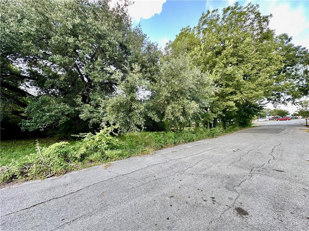 1001 North Washington Avenue Bryan, TX 77803 - Photo 4 of 7 a view of a road with plants and bushes