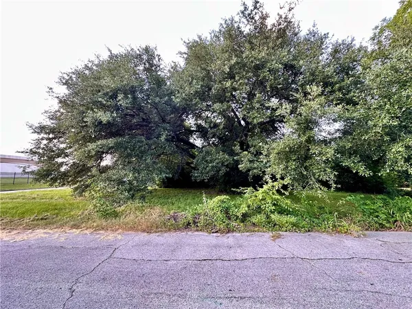 a view of a yard with plants and large trees