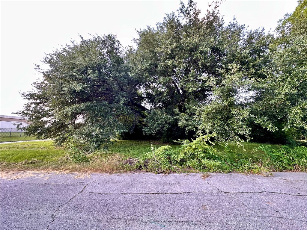 1001 North Washington Avenue Bryan, TX 77803 - Photo 5 of 7 a view of a yard with plants and large trees