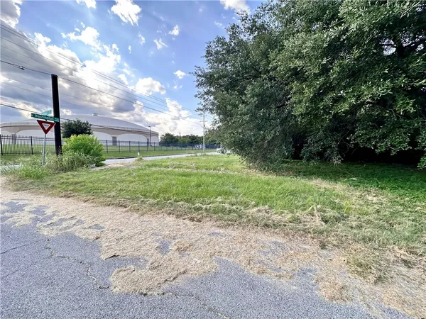 a view of a yard with a tree