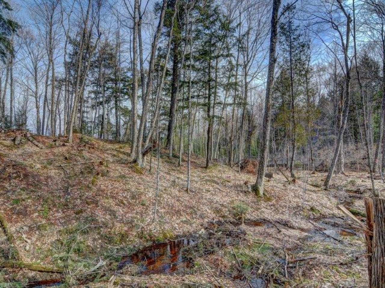 On On Mcdowell Road Presque Isle, WI 54557 - Photo 6 of 11 Gallery Image 6
