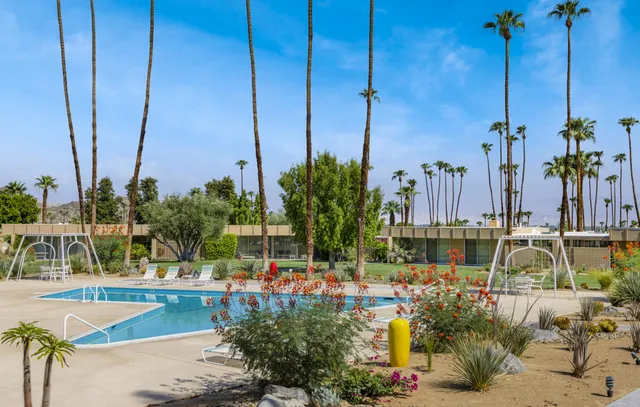 a view of a lake with palm trees